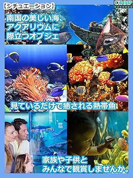深海の生き残り／オブジェ 沈没船 アクアリウム 水槽 オブジェ レイアウト 熱帯魚 メダカ